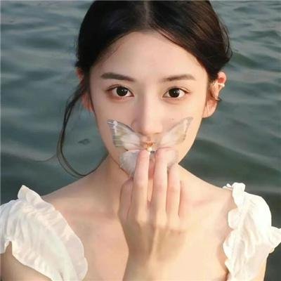 风尘知已 封面