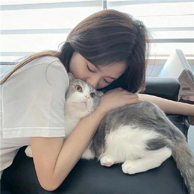 坚如磐石 封面