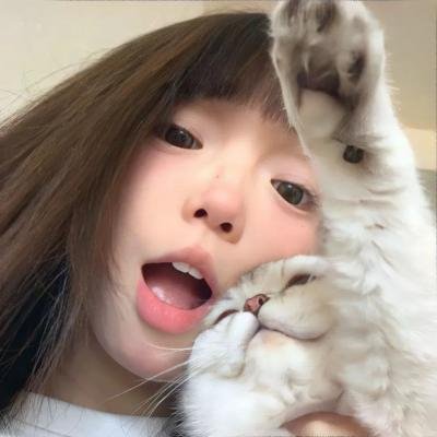 赵琳的探险日记 封面